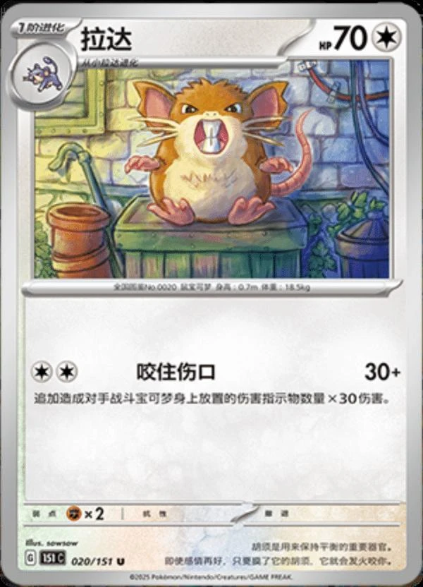 Raticate #20
