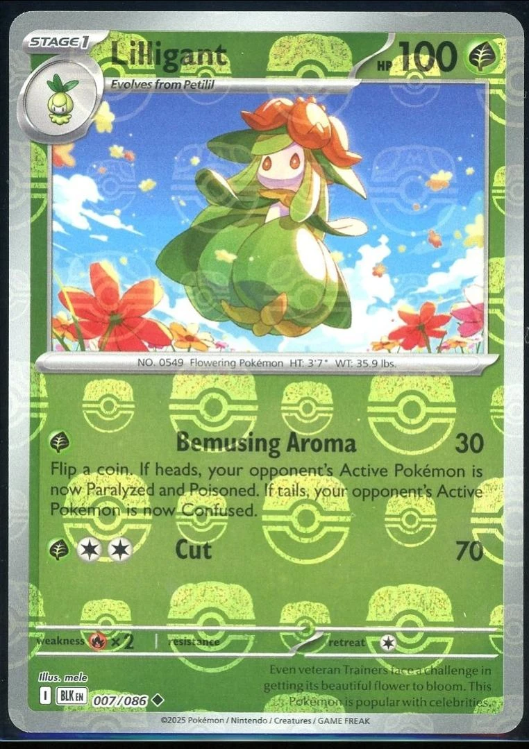 Lilligant Master Ball #7