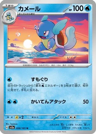Wartortle #8