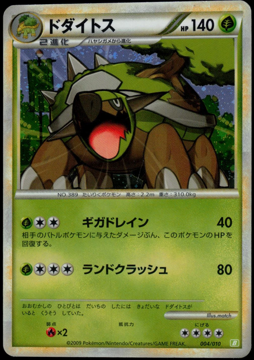 Torterra #4