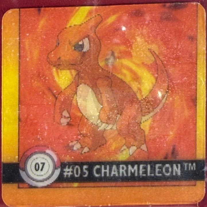 Charmander & Charmeleon #7