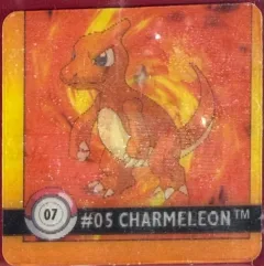 Charmander & Charmeleon