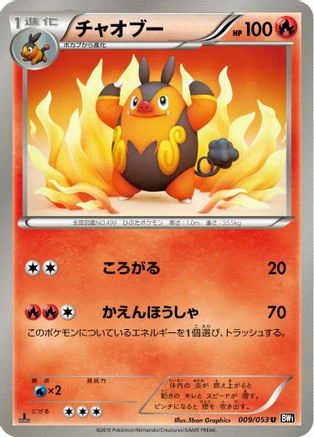 Pignite #9