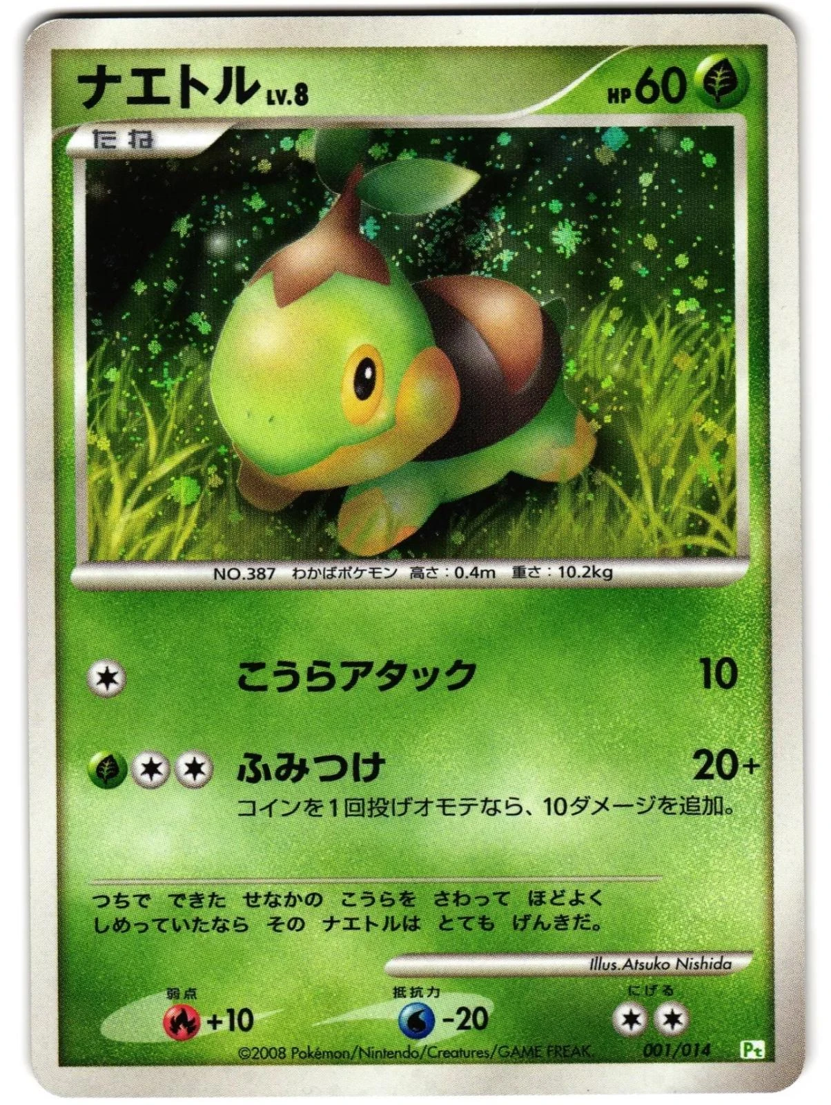 Turtwig #1