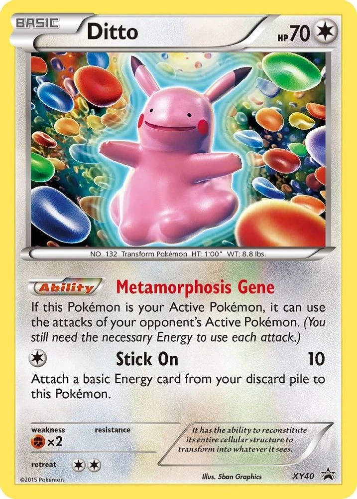 Ditto #XY40
