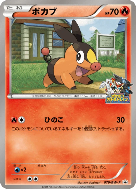 Tepig Hokkaido Battle #79/BW-P