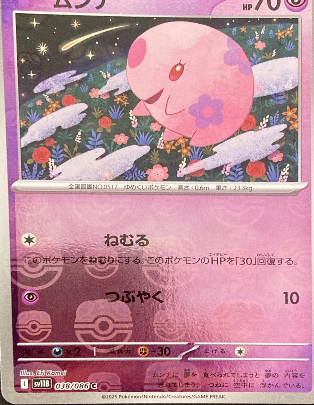 Munna Master Ball #38