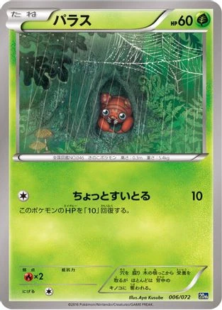Paras #6