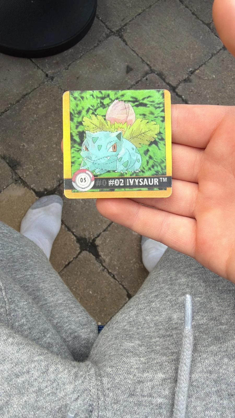 Bulbasaur & Ivysaur #5