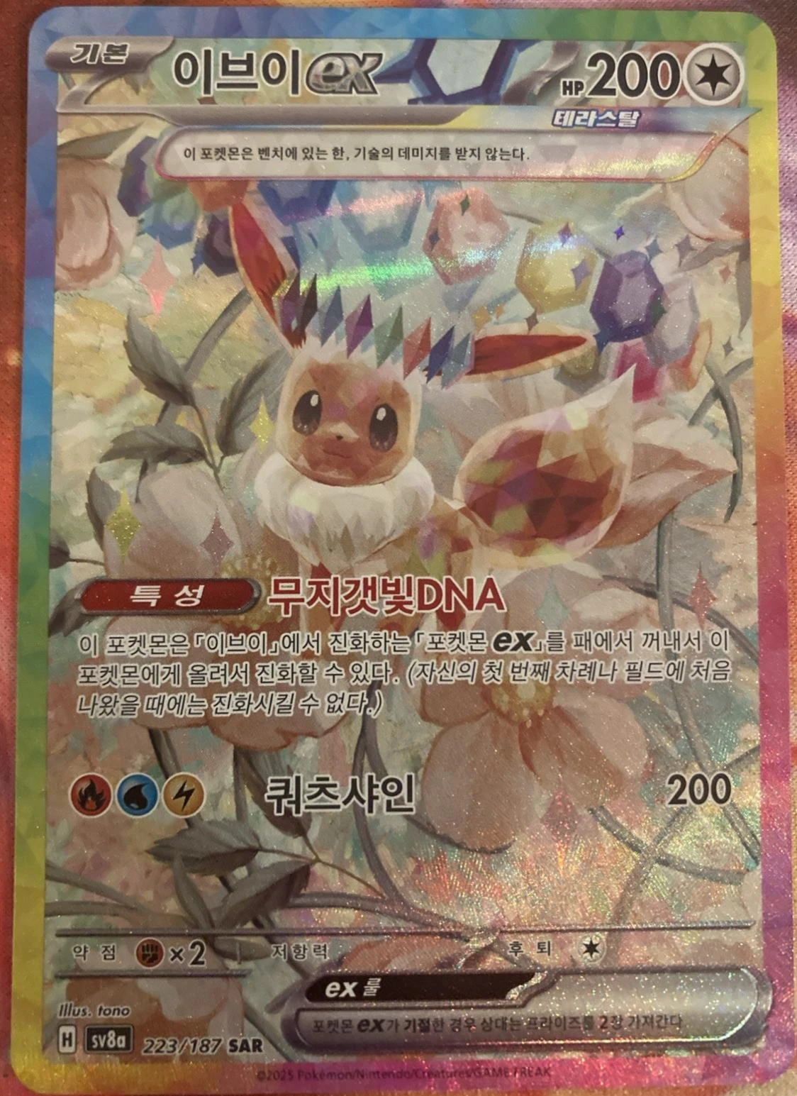 Eevee Ex #223