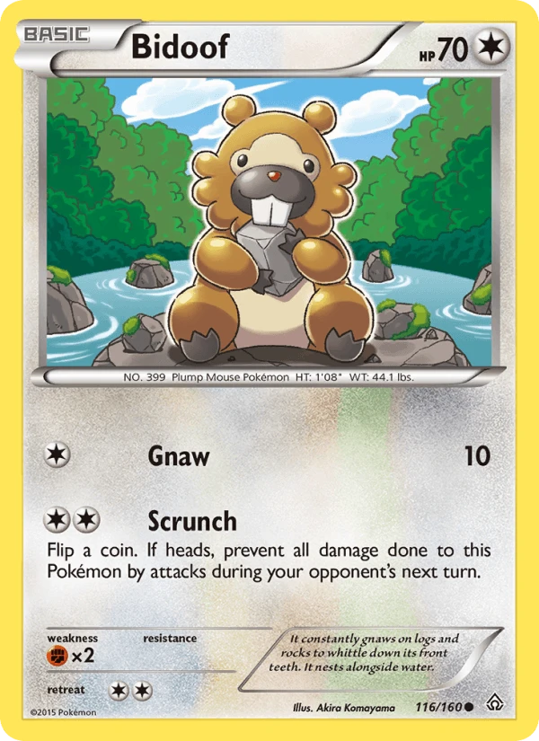 Bidoof #116