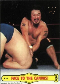 Face To The Canvas