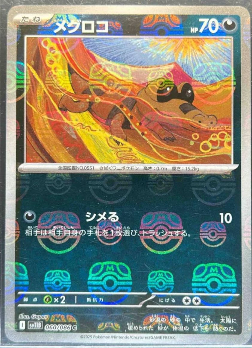 Sandile Master Ball #60
