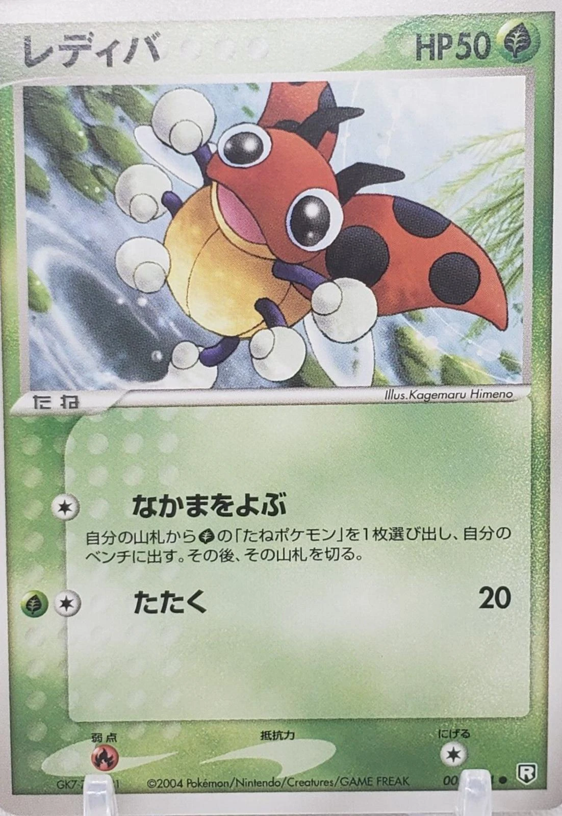 Ledyba #5