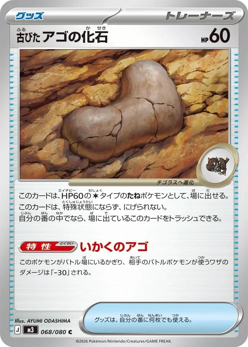 Antique Jaw Fossil #68