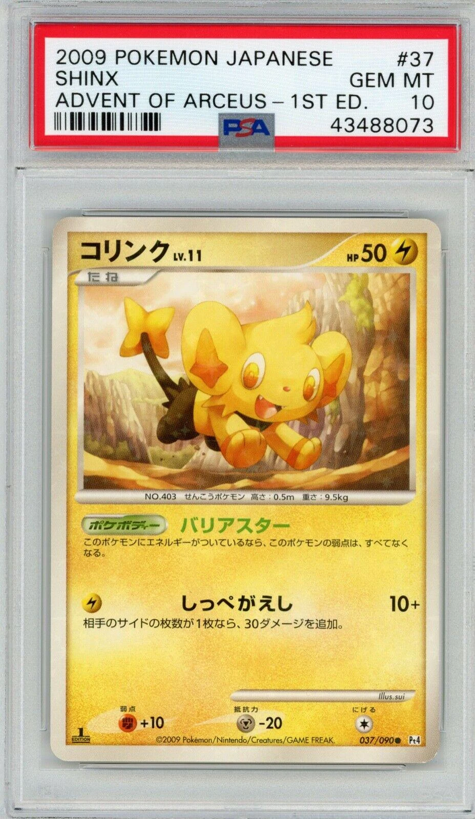 Shinx 1st Edition #37
