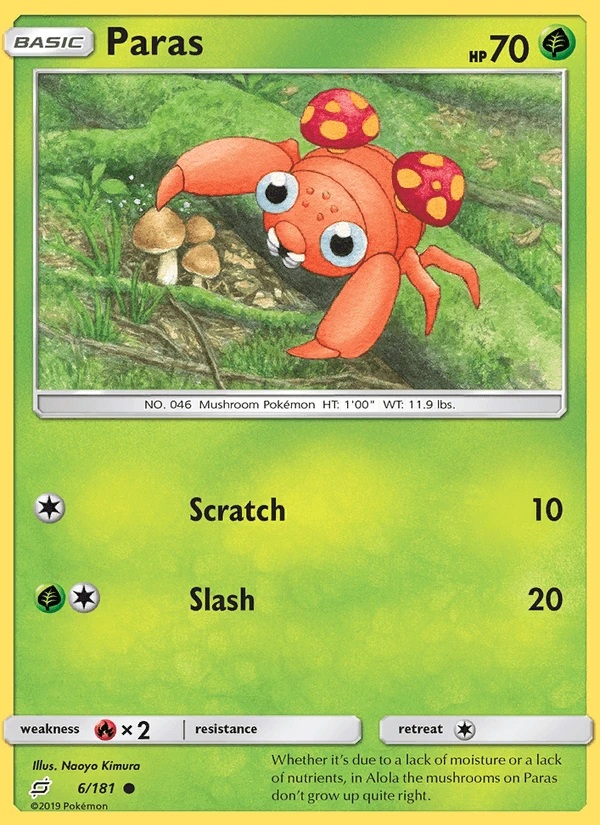 Paras #6