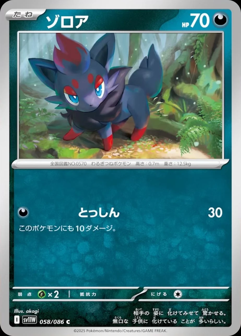 Zorua #58