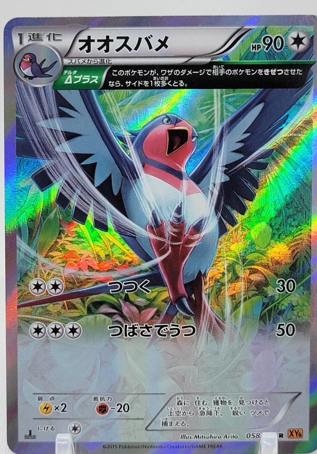 Swellow 1st Edition #58