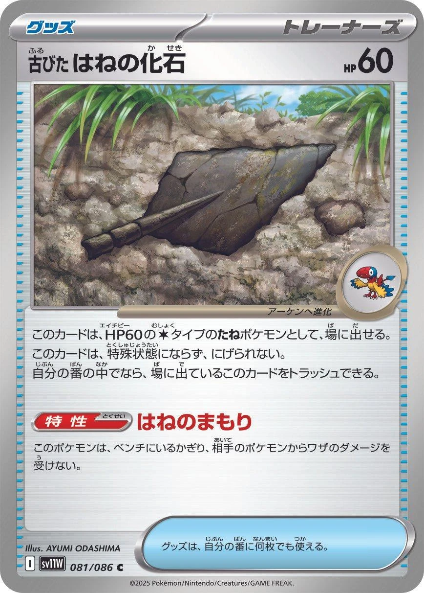 Antique Plume Fossil #81