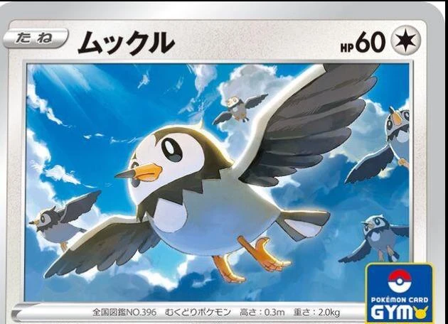 Starly Gym #262/S-P