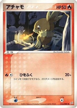 Torchic #16