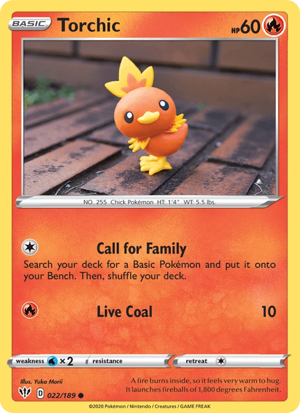 Torchic #22