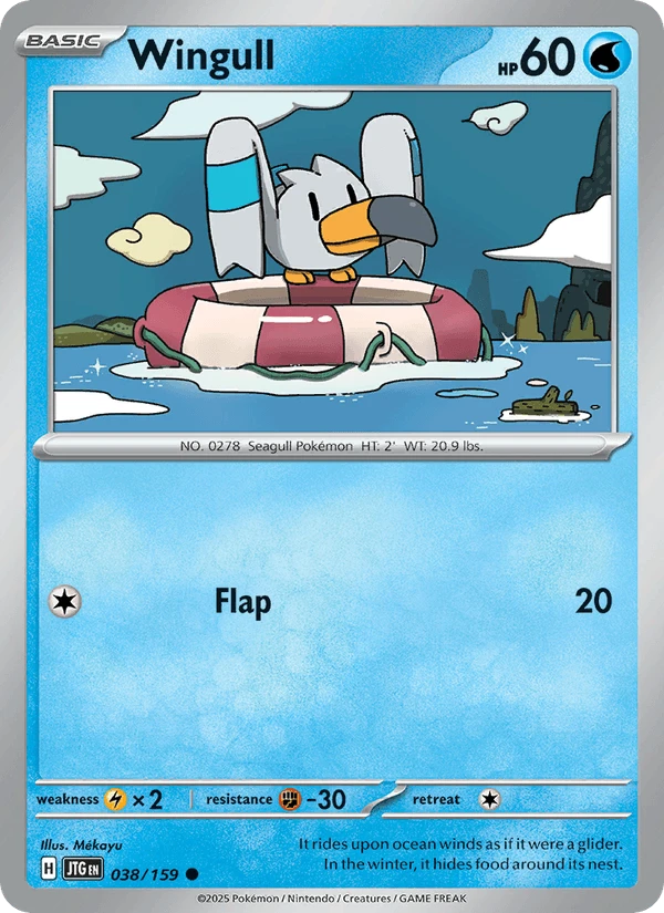 Wingull #38