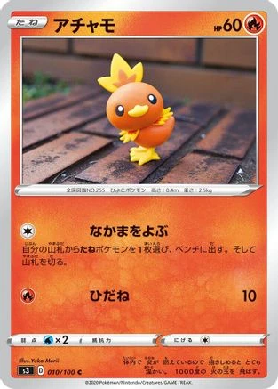 Torchic #10