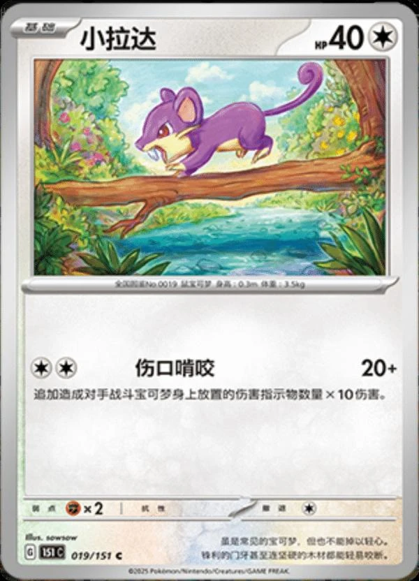 Rattata #19