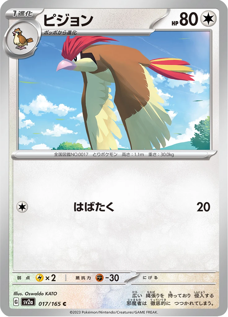 Pidgeotto #17