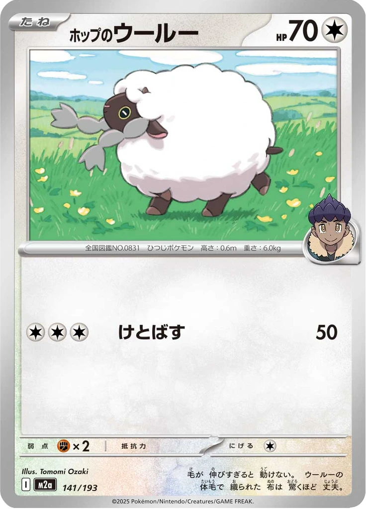 Hop's Wooloo Ball #141