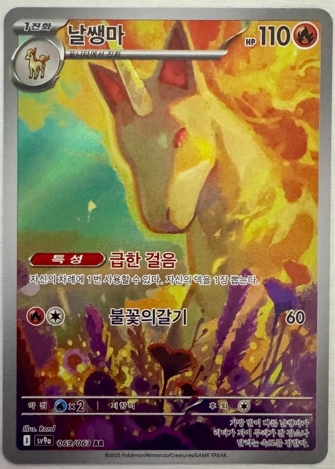 Rapidash #69