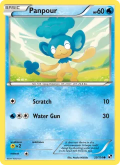 Panpour Reverse Holo