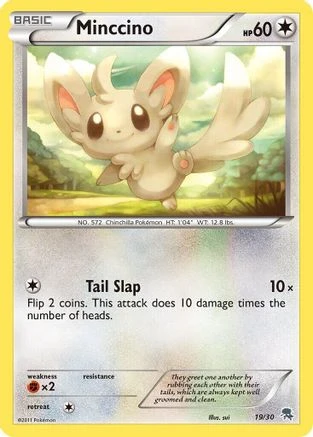 Minccino #19