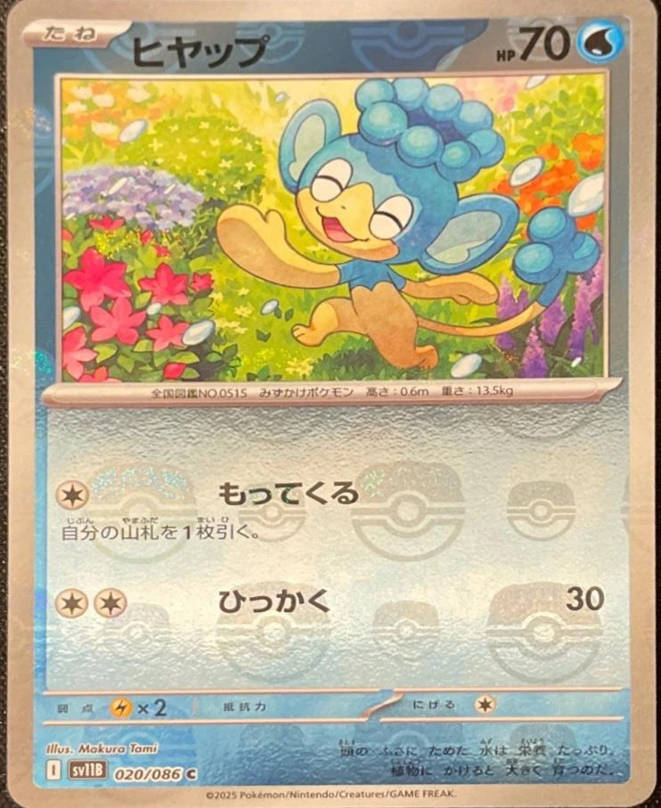 Panpour Master Ball #20