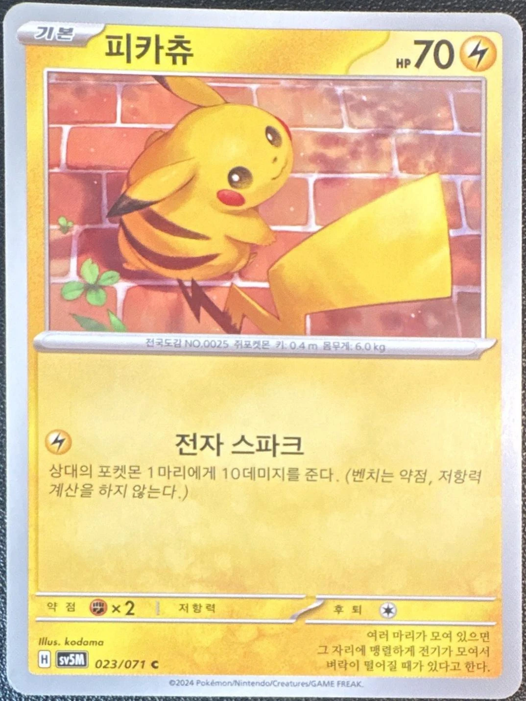 Pikachu #23