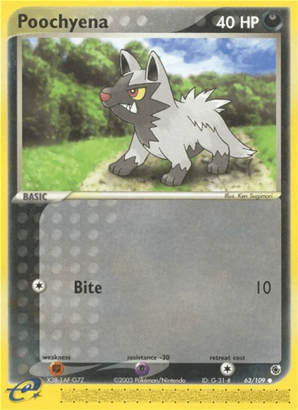 Poochyena #63