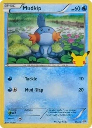 Mudkip Holo #19