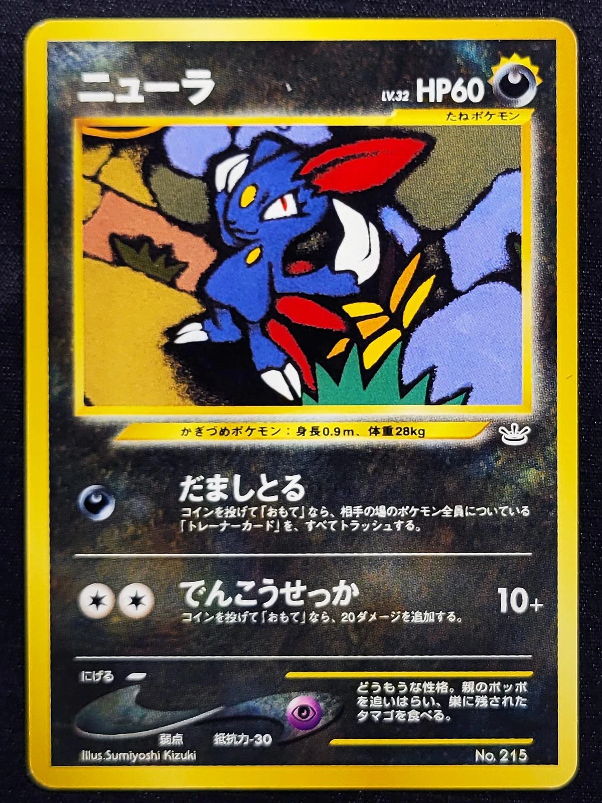 Sneasel #215