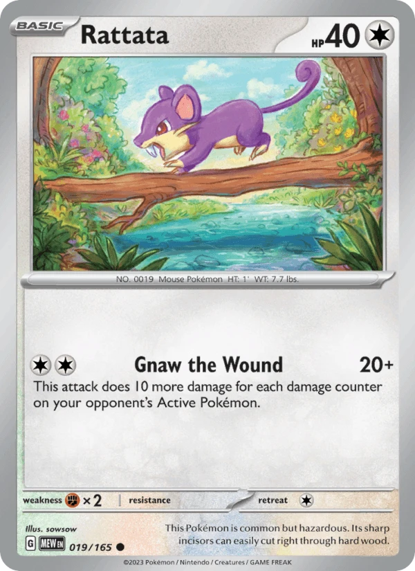 Rattata #19