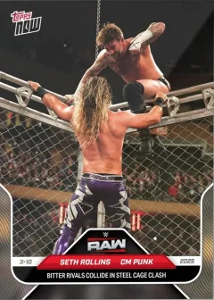 Seth Rollins / CM Punk