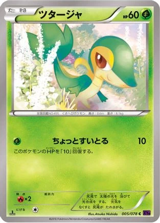 Snivy #5