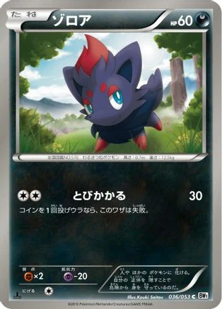 Zorua #36