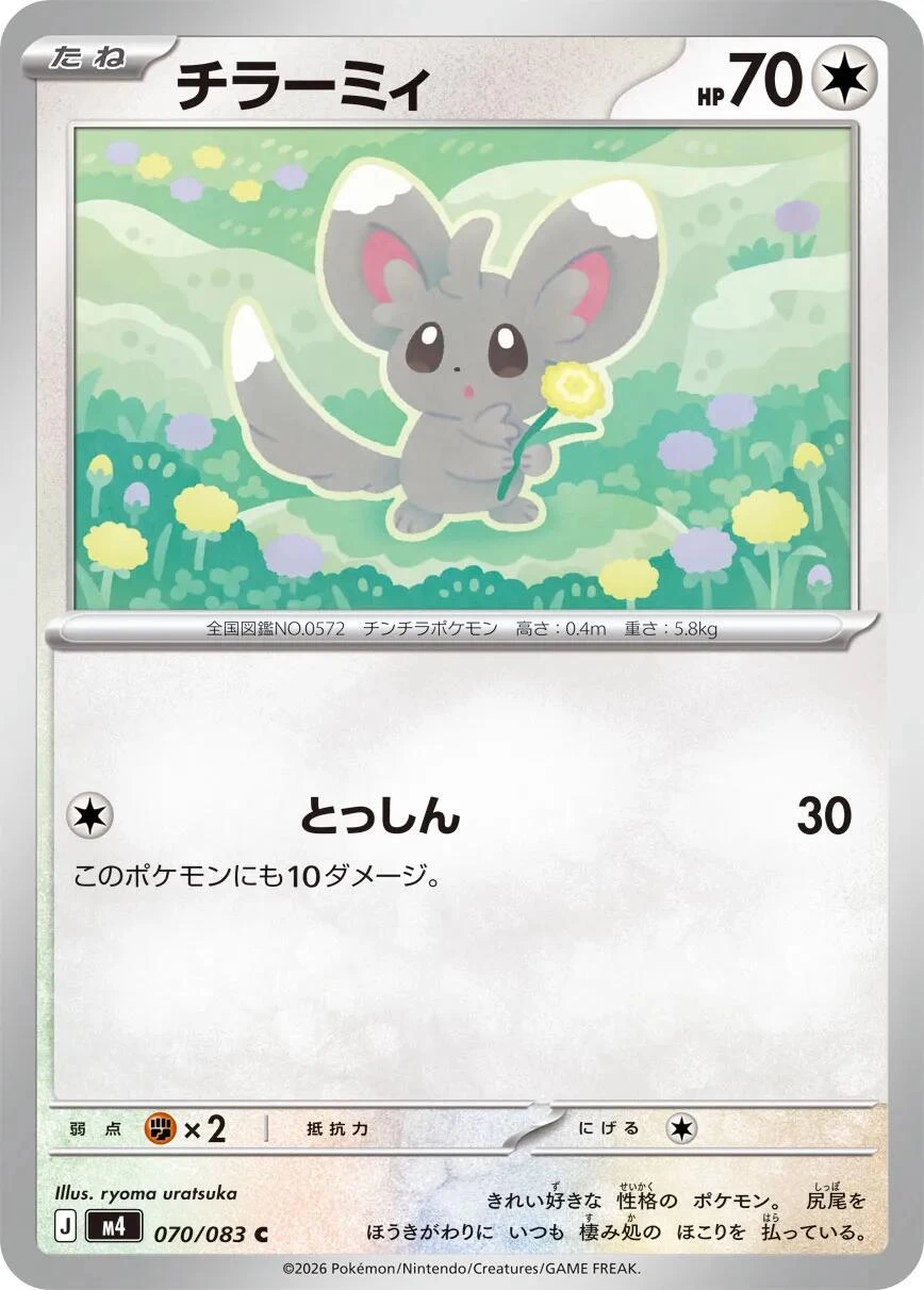 Minccino #70