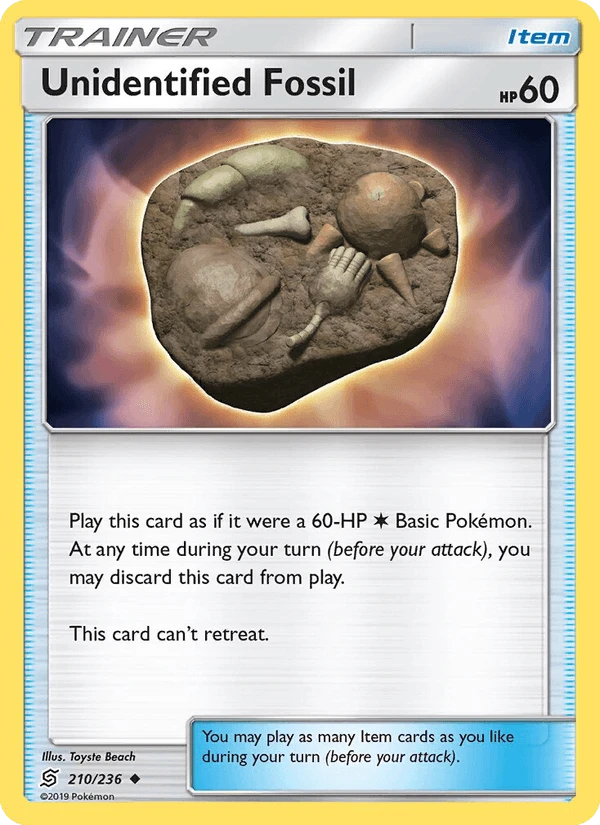 Unidentified Fossil #210