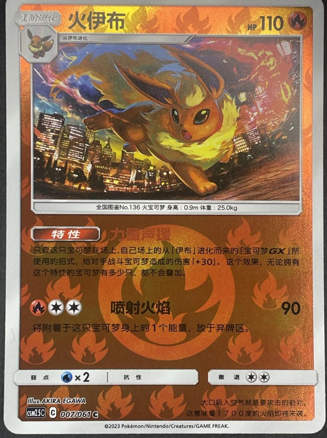 Flareon #7
