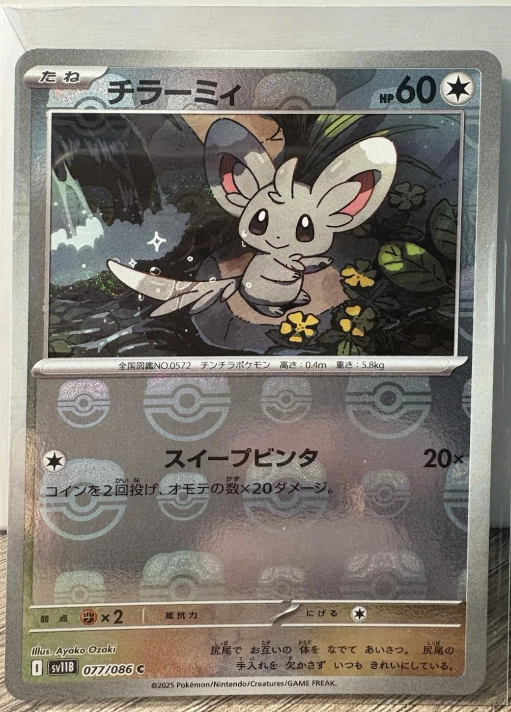 Minccino Master Ball #77