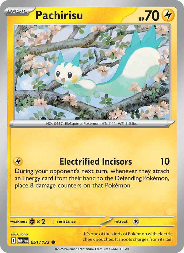 Pachirisu #51