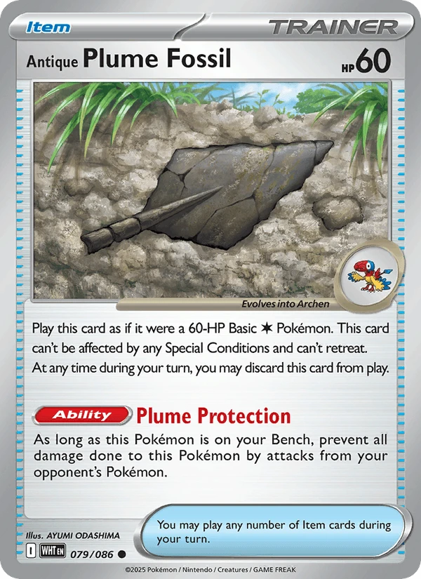 Antique Plume Fossil #79
